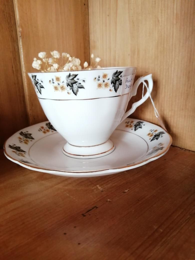 Tasse Feuilles "Fruit du Dragon"