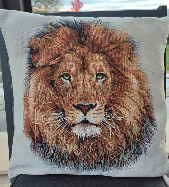 Coussin lion 🦁