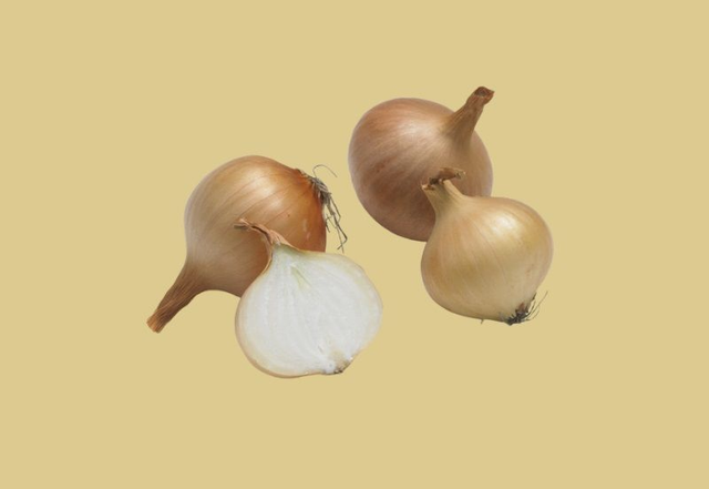 Oignons jaunes paille