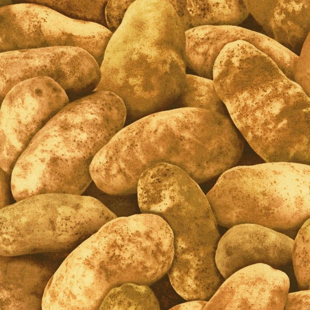 POMME DE TERRE