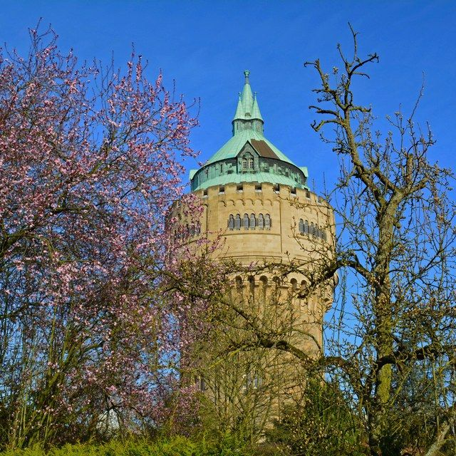 Wasserturm im Frühling