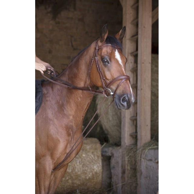 RÊNES ALLEMANDE CUIR/CORDE NORTON PRO