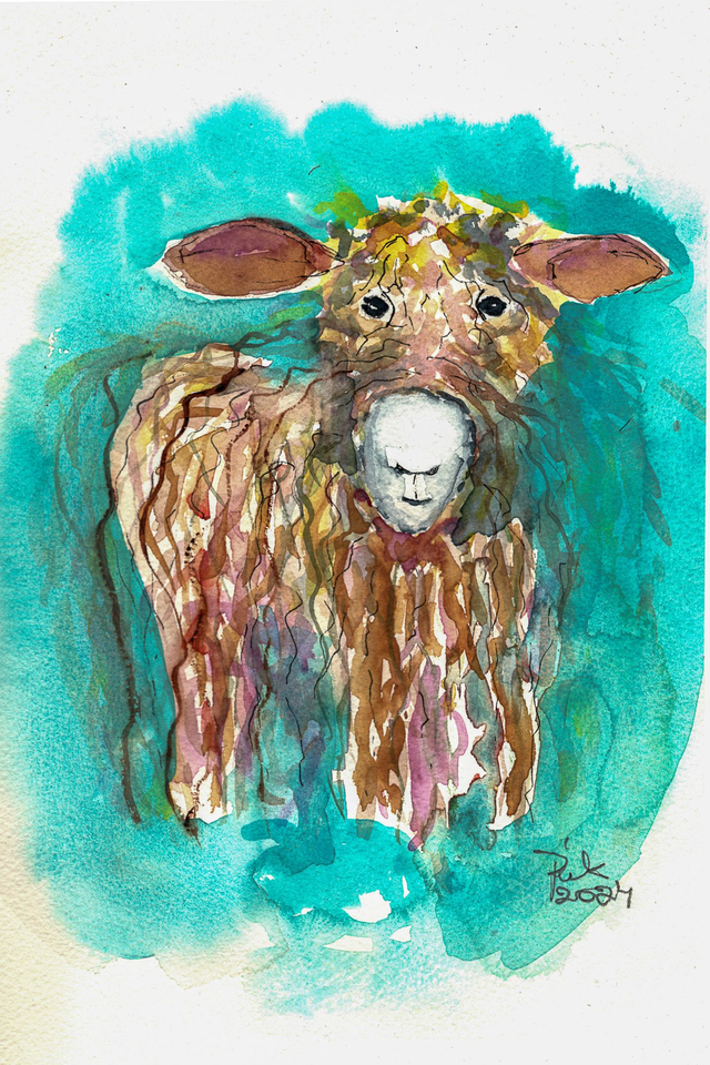 Lammas turkoosilla taustalla