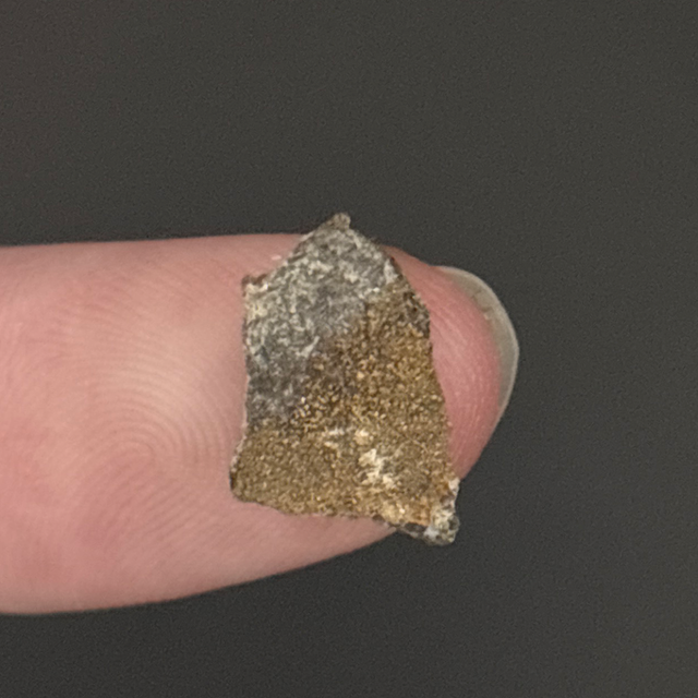 Therizinosaurid Eggshell