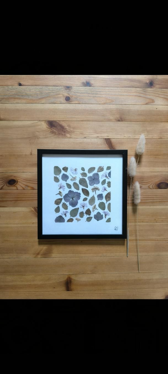 Herbier d'Art Mosaïque