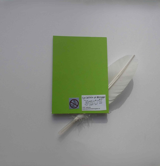 À la recherche du sapin de Noël