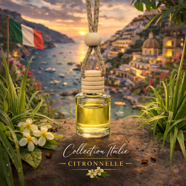 Diffuseur voiture - Zeste fraîcheur 