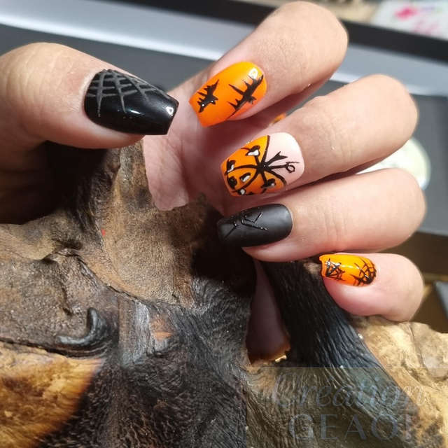 Pumpkin halloween 2025 little coffin xs