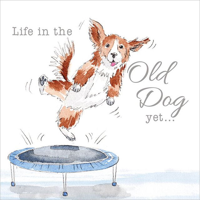 Life in the Old Dog (A009 )
