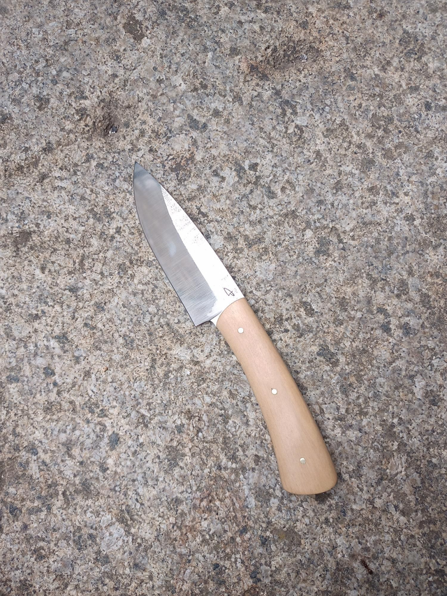 Couteau fixe utilitaire buis