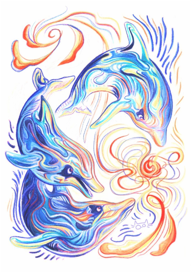 Série animaux marins - Dauphins