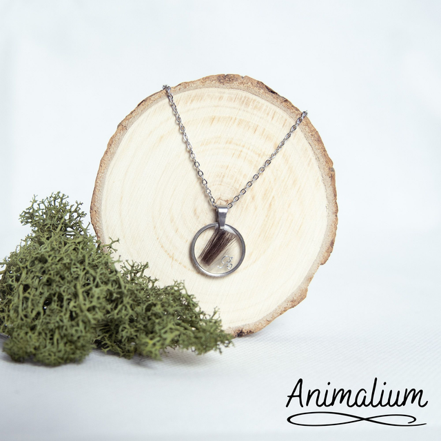 Collier cercle plat poils 