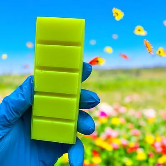 Lemon and Lime Fizz Wax Melt Snap Bar 