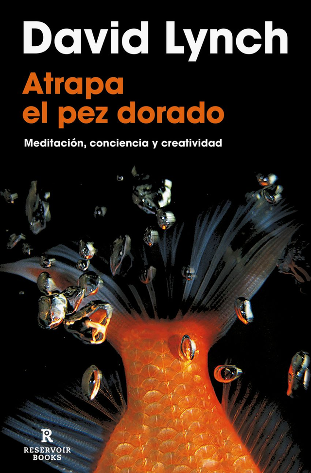 Atrapa el pez dorado: Meditación, conciencia y creatividad - David Lynch