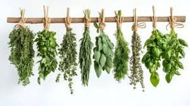 Workshop kruidenthee