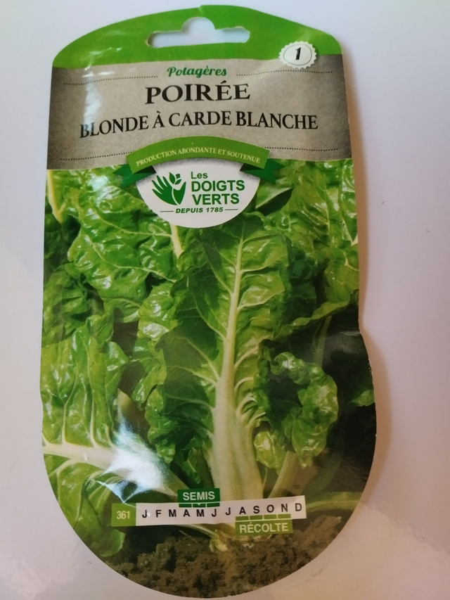 poirée Blonde à carde blanche