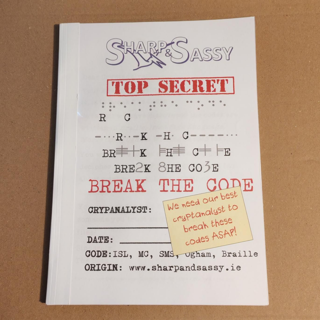 Break The Code Puzzle Book
