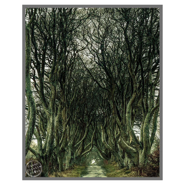 On The Kings Rd pt. 2