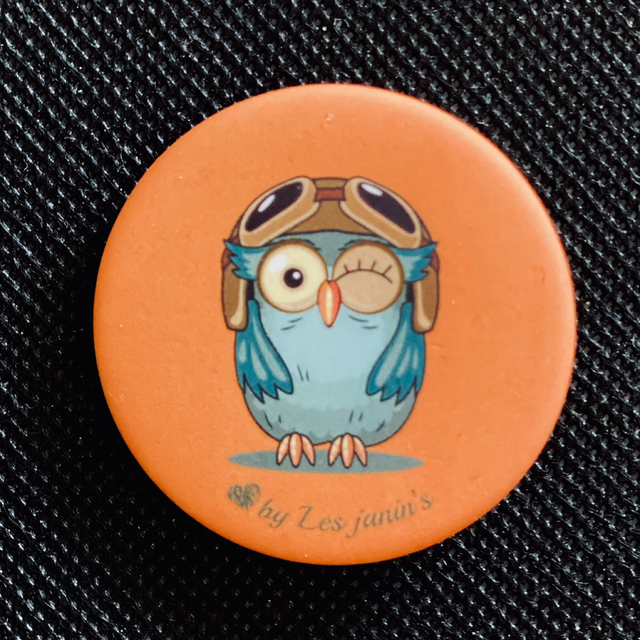 Badge Chouette Aviateur