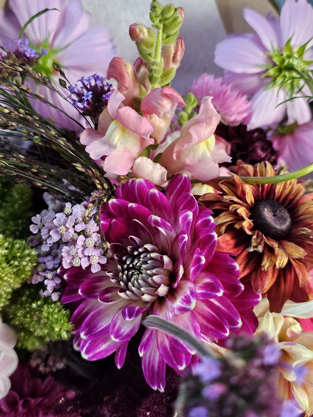 Cut and Create a Vase of Dahlias ~ Tuesday 5th August - 10am - 1pm