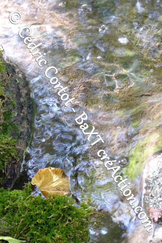 Impression sur alu dibond - Reflets et cours d'Eau (ref P1190142)