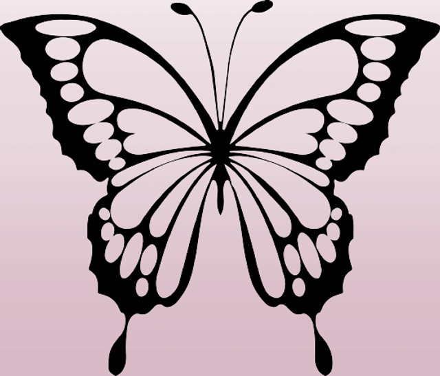 Sticker papillon modèle 1