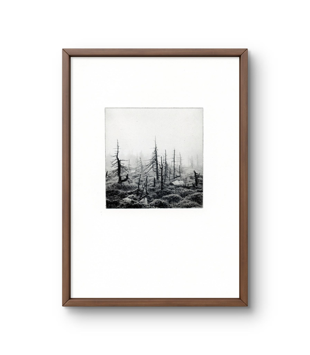 A4 Swamp photogravure handprint framed  