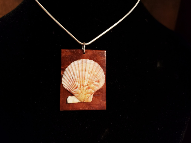 Anhänger Eukalyptus/Jakobsmuschel