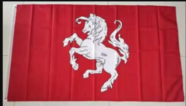 Grote vlag Twente (150x90cm)