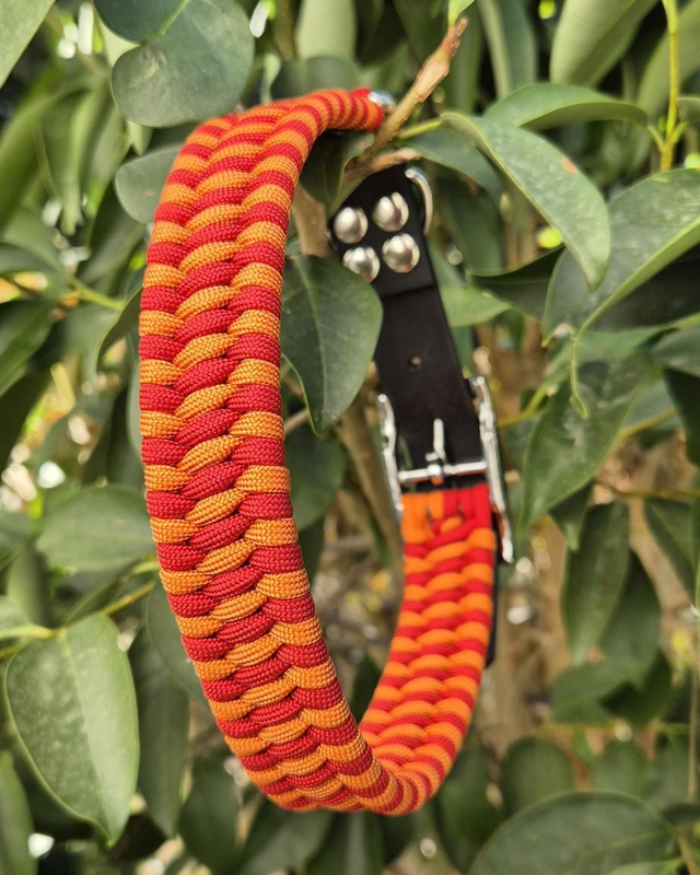 Collier biothane - Taille L