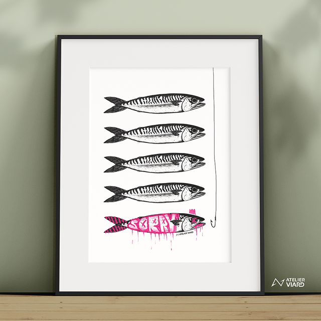 Les maquereaux et la chance - Collection animaux