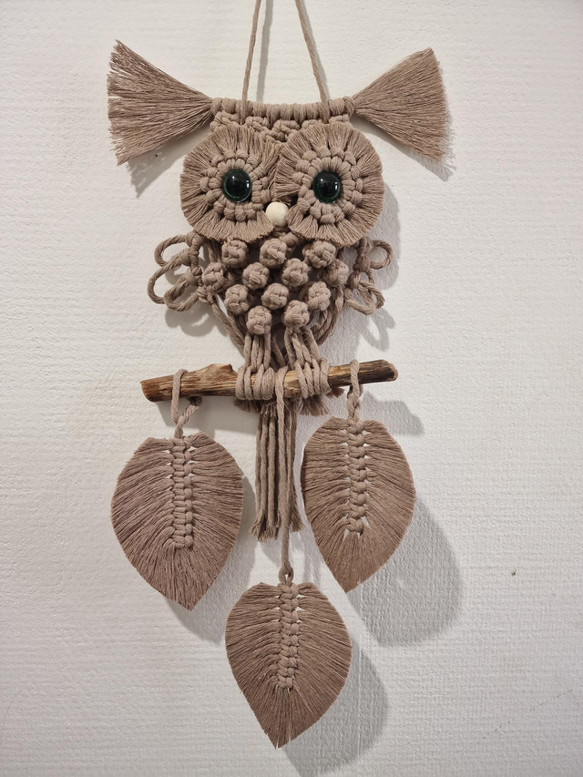 Chouette à couettes 