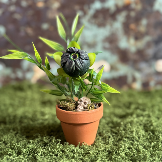 29.🌱 Specimen: The Trispecter