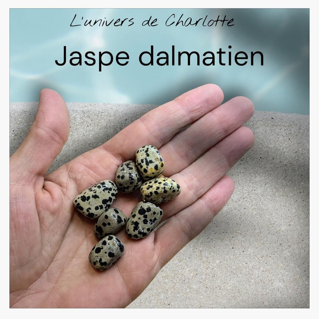 Pierre roulée "Jaspe dalmatien"