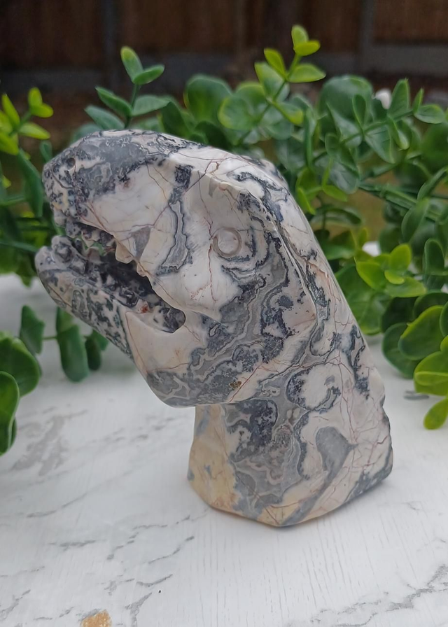 Picassso Jasper T-Rex Dinosaur Crystal | Natural Stone Carved and Polished Tyrannosaurus Rex Head no.2