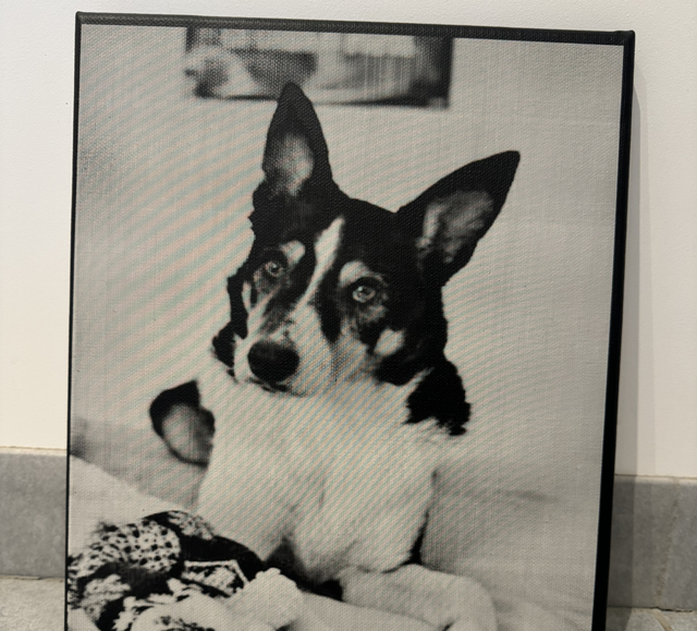 Toiles personnalisées 25x30