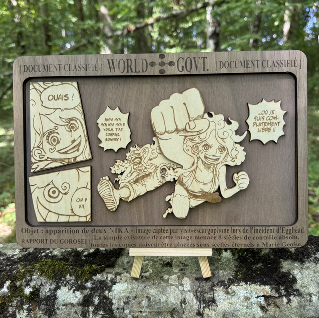 ONE PIECE - Futur Libre