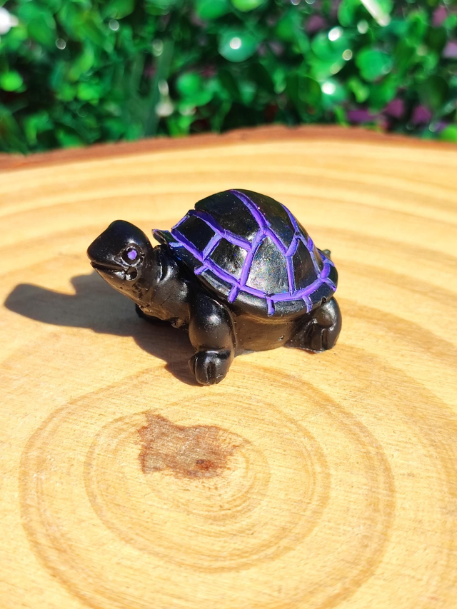 Tortue terrestre 