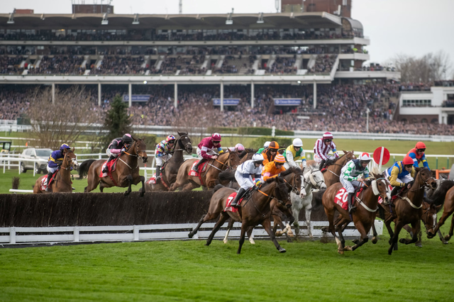 Cheltenham Festival Tickets