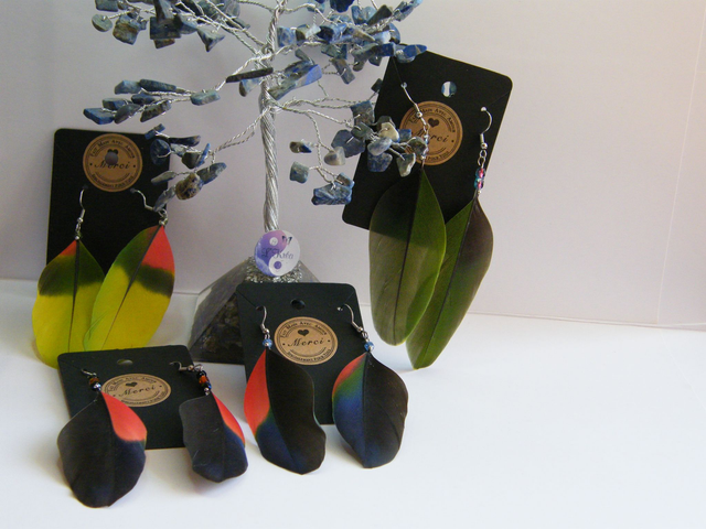 Plumes Naturelles Grandes