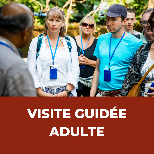 Visite Guidée (Adulte)