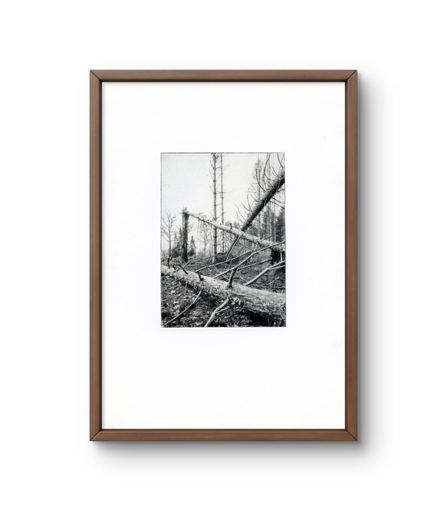 A4 "Mess" A4 Parasite photogravure handprint framed