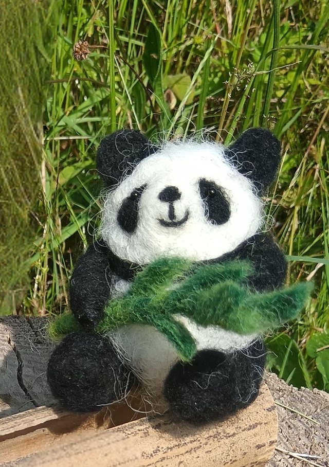 panda seul