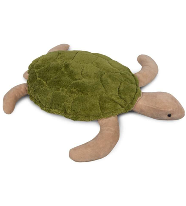 Schildkröte
