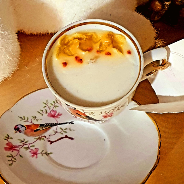 Bougie Tasse Agrumes