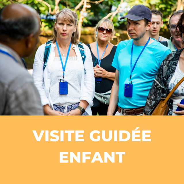 Visite Guidée (Enfant)