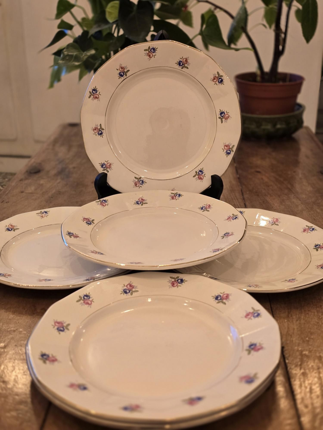 Assiettes plates Digoin et Sarreguemines 