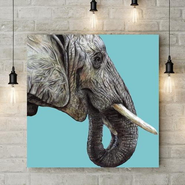 ‘Elephant’ Canvas