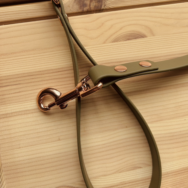 Pet Pooch Boutique Khaki Green BioThane Dog Lead