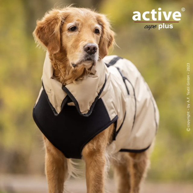 Elastic Plus, Active Cape